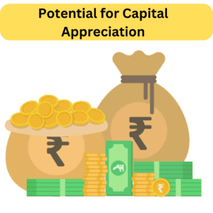 Potential for Capital Appreciation