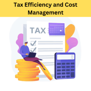 Tax Efficiency and Cost Management