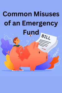 what‘s the purpose of the three questions you should ask before using your emergency fund? 